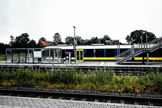 Bramsche-03. August 2024-4.jpg