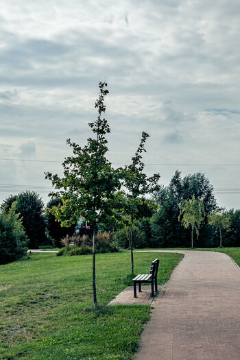 Bramsche-05. August 2024-6.jpg