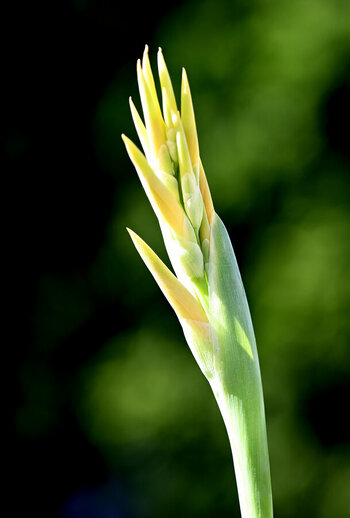 DSC_9424_011_DxO.jpg
