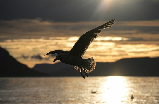 NZ9_0925_2.jpg