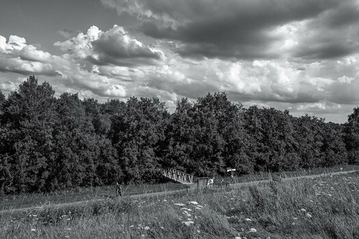Alfsee-28. Juli 2024-6.jpg
