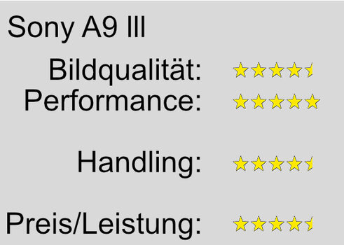 Bewertung.jpg