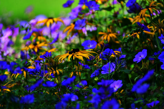DSC_8830.jpg