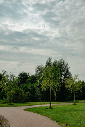 Bramsche-05. August 2024-7.jpg