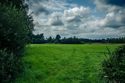 Bramsche-26. Juli 2024-3.jpg