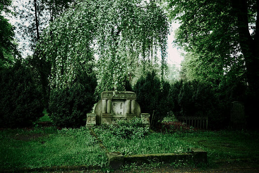 Hasefriedhof-050524 94.jpg