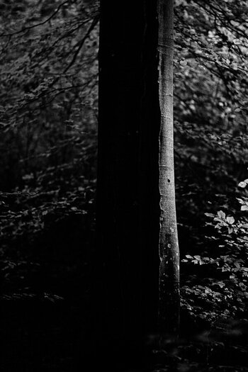 DSC_0718_01.JPG