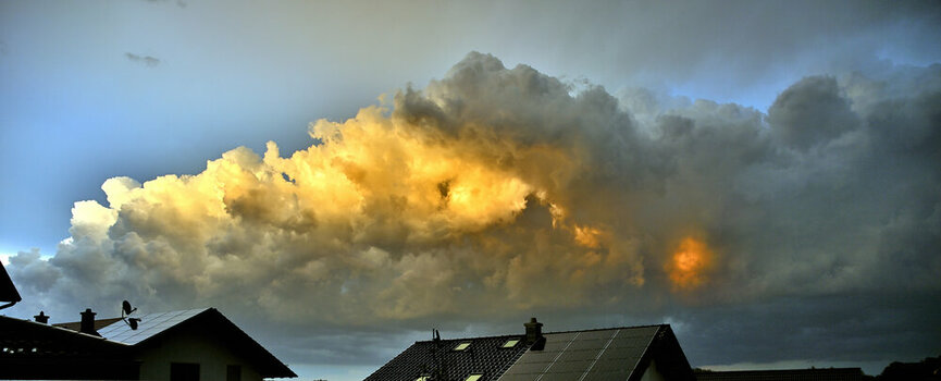 NZ8_1301.jpg