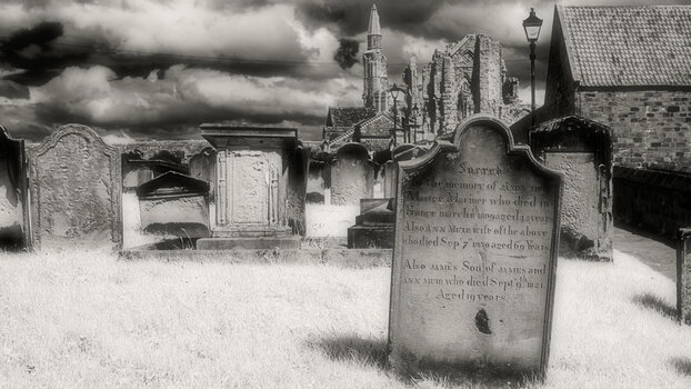 Whitby Abbey_SM Churchyard_IR(25)_DxO.jpg
