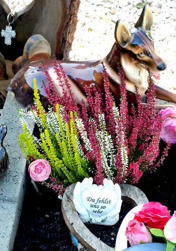 Tierfriedhof-2.jpg