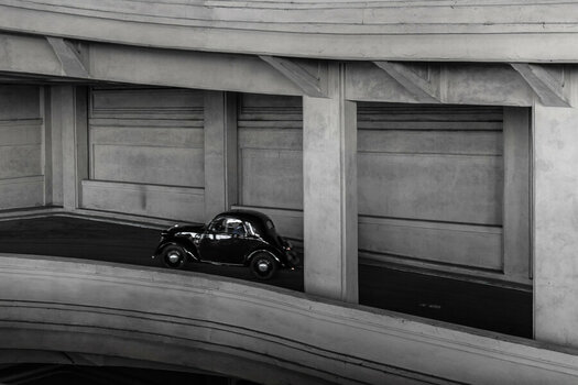 D85_4779.jpg