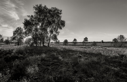 750_0558-Bearbeitet.jpg