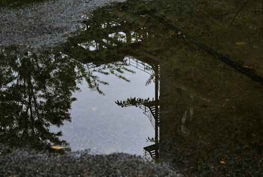 _DSC0090.JPG