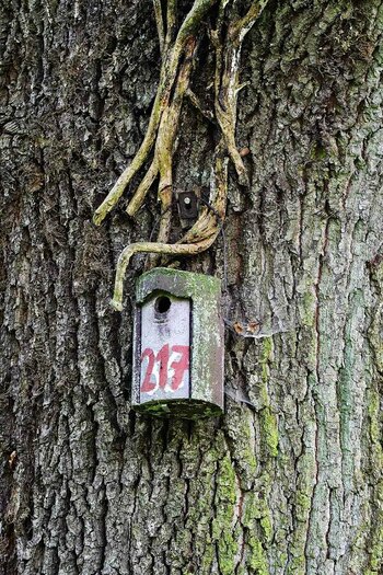 DSC_0769.jpg