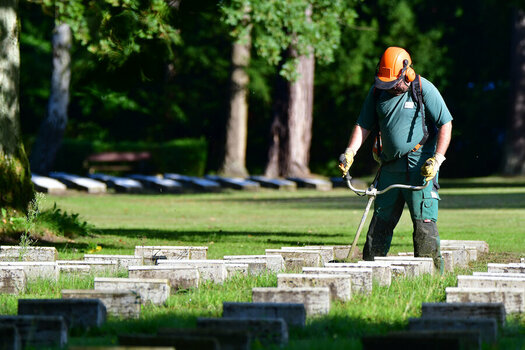 DSC_0799.jpg