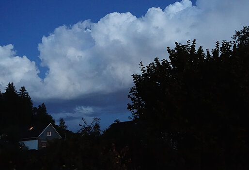 DSC04843.f.jpg