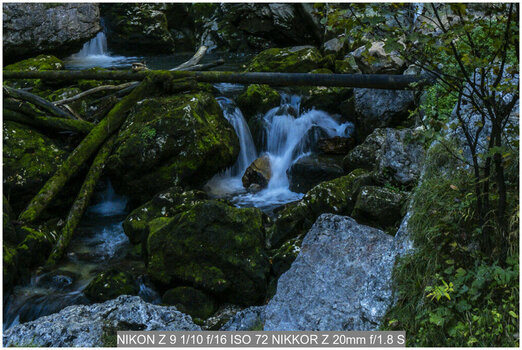 NZ9_4681-3.jpg