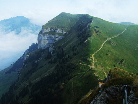 DSCF8686.f.jpg