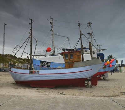 DSC_0255.JPG