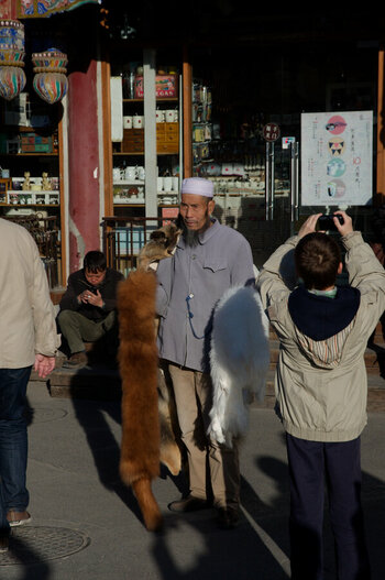 DSC_0678_DxO.jpg