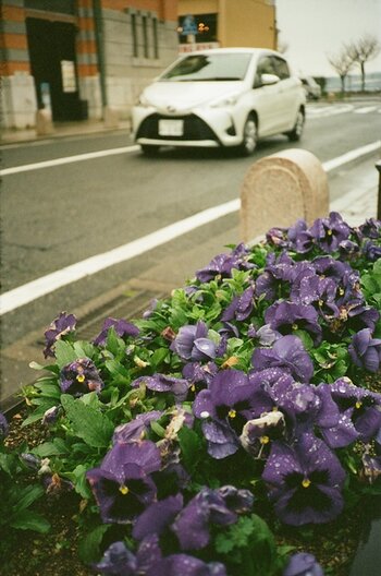 k_Rollei35AF-sample-shot-H9.jpg