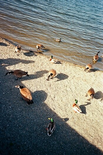 k_Rollei35AF-sample-shot-H23.jpg