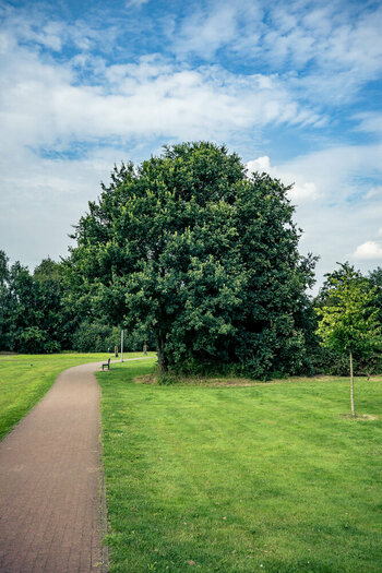 Bramsche-05. August 2024-28.jpg