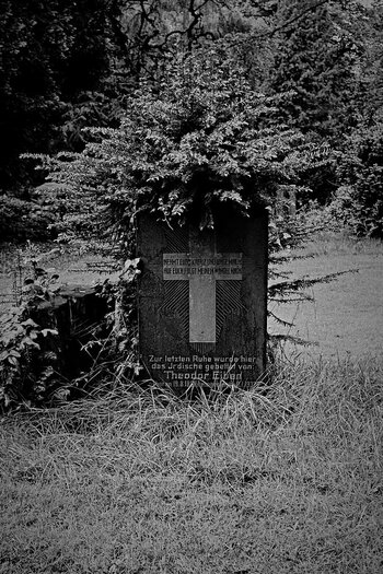 Hasefriedhof-050524 63.jpg