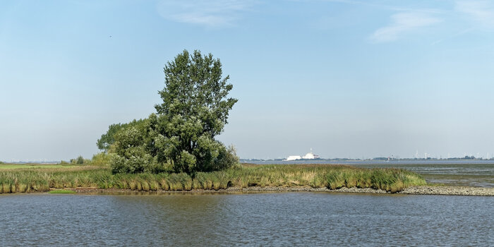 Wischhafen_AKW Brokdorf-(2)_2024_DxO.jpg