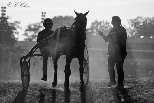DSC_4556_DxO - Kopie.jpg
