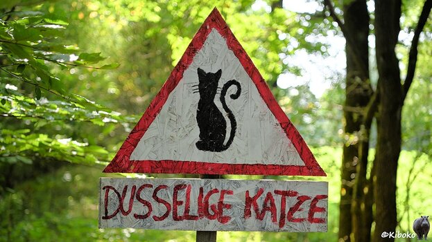 s240803_1134_bFallingbostel_Katze_9062[1].jpg
