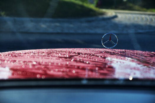 DSC_0172 (2).jpg