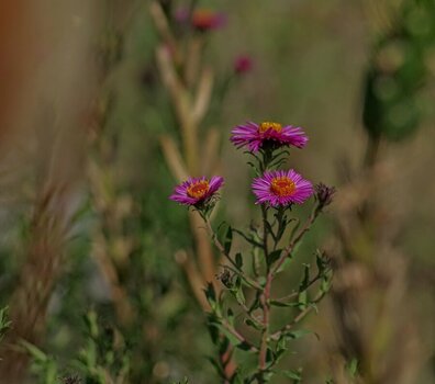 compIMGP6371-1.jpg