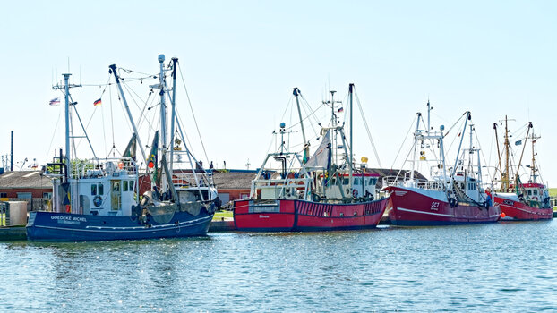 Büsum_Krabbenkutter(4)_2024_DxO.jpg