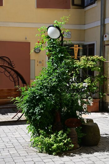DSC_7454_k.jpg