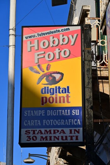 DSC_8379_k.jpg