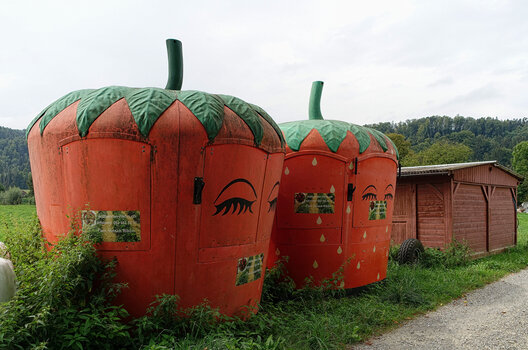 DSC05020.f.jpg