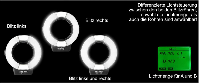 Blitz-3.jpg