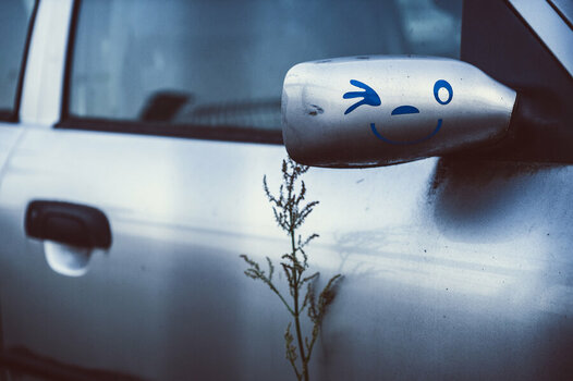 DSC_0530_X.03.jpg