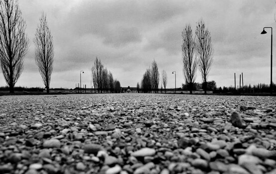 Ratebild NFF_2024-09-08_k.JPG