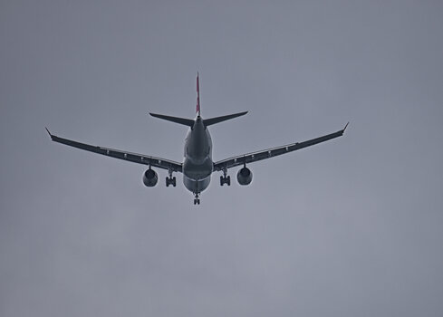 DSC_1338.f.jpg