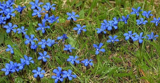 DSC_2331A.f.jpg