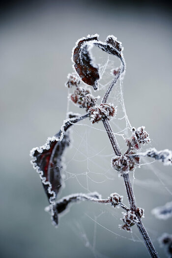 DSC_1404.03.jpg