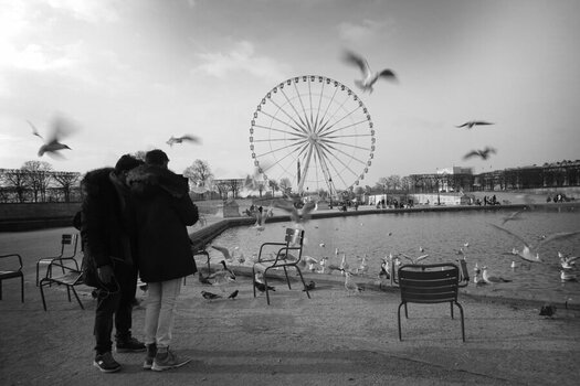Paris rad bird02.jpg