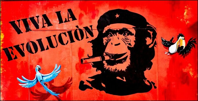 comp_Viva La Evolucion.jpg