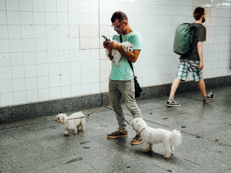 Man_3Dogs.jpg