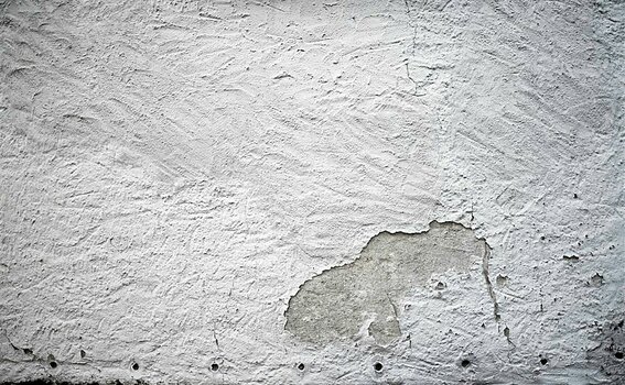 VG_NZ8_8233_on1-NFF.jpg