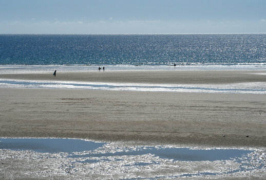 DSC_2894_01.JPG