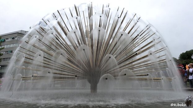 s157_Brunnen_4738[1].jpg