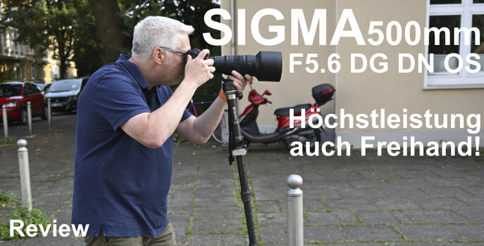 SIGMA 500mm F5.6 DG DN OS | Sports